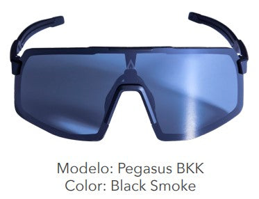 Lentes Deportivos Payle Pegasus Black-Smoke