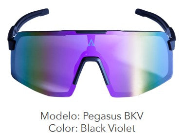 Lentes Deportivos Payle Pegasus Black-Violet